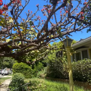 portfolio of Los Angeles Home Builder